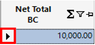 Net Total BC Column