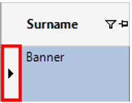 Surname Column