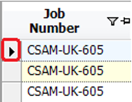 Job Number Column