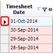 Timesheet Date Column