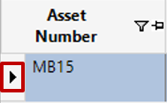 Asset Number Column