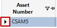 Asset Number Column