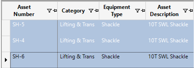 Asset Details Rows