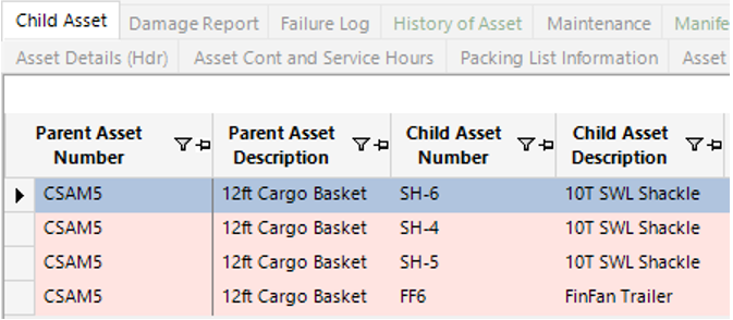 Child Asset