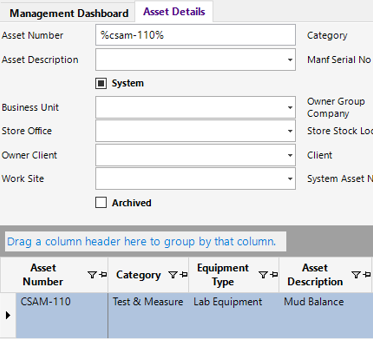 Asset Details Search