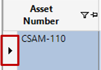 Asset Number Column