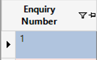 Enquiry Number Column